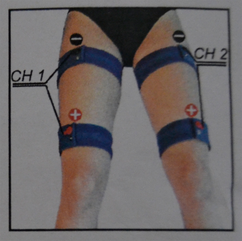 Kit 4 Bandas Elásticas Globus Kit 4 Bandas Elásticas Globus