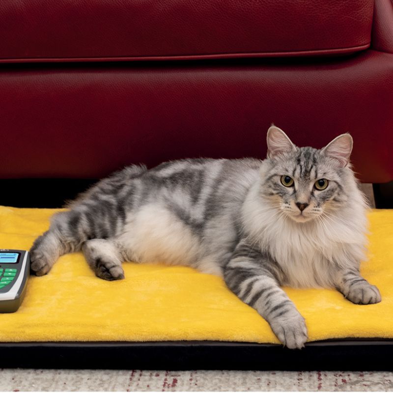 colchon magnetoterapia veterinaria globus gato