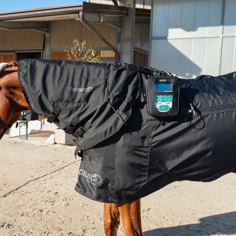 Accesorios magnetoterapia magnetovet 4000 horse pro