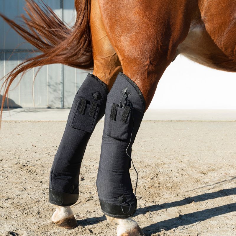 Botas traseras magnetoterapia caballo magneto vet 4000 horse pro
