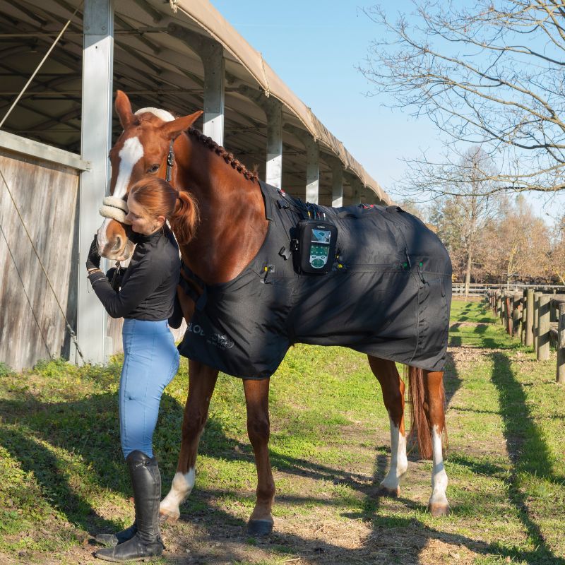Magnetoterapia caballos accesorios magnetovet horse 4000 pro
