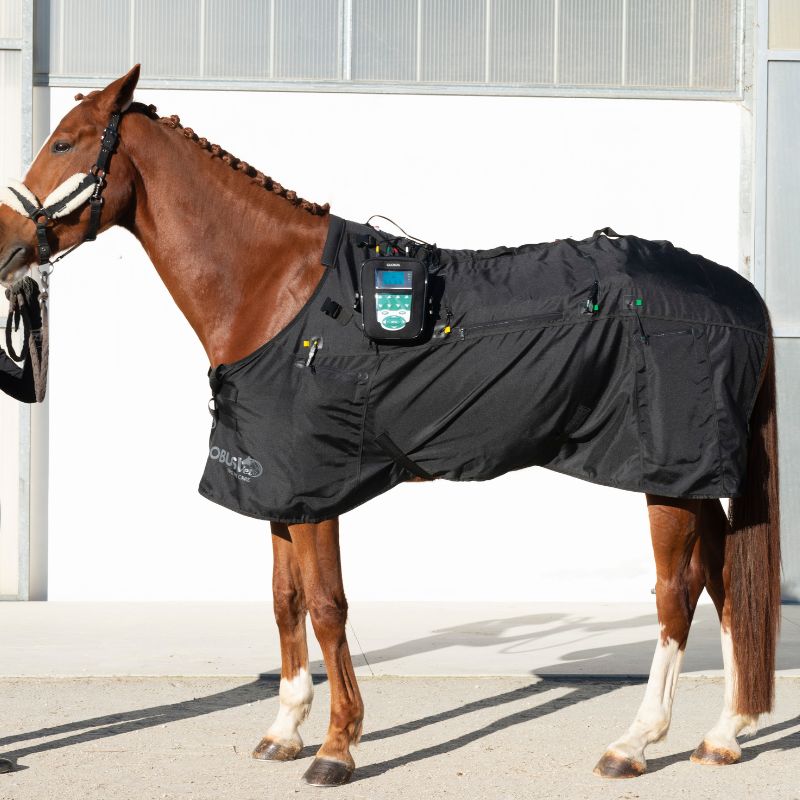 Manta Magnetoterapia Caballo magnetovet 4000 horse pro