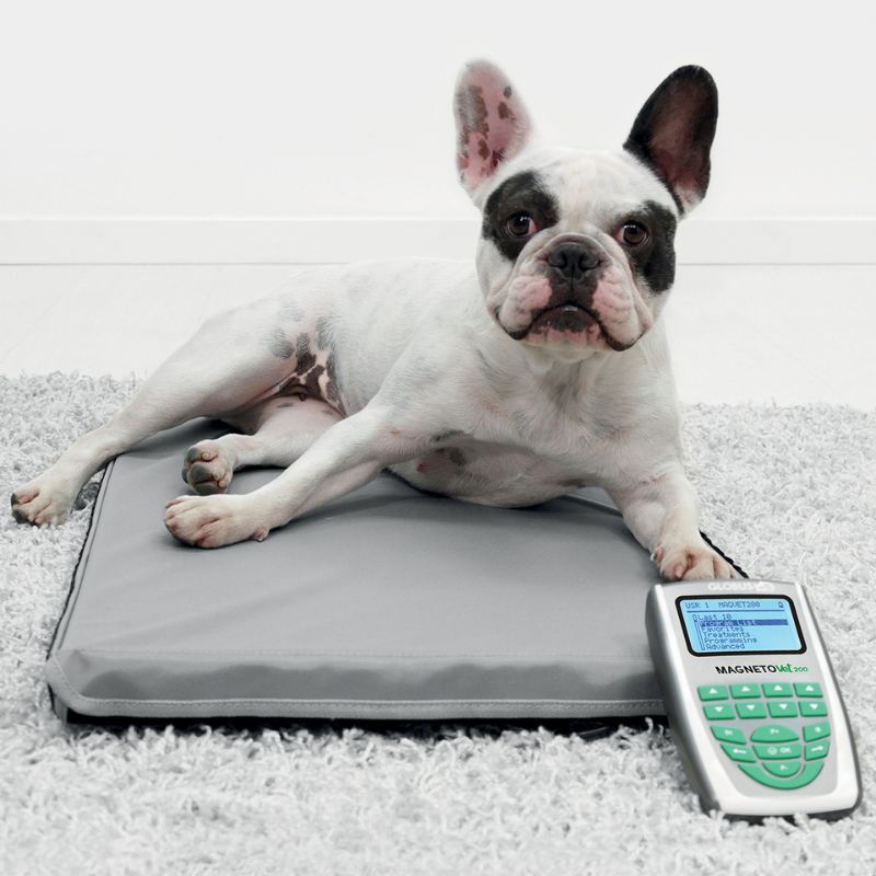 magnetovet 200 y colchoneta