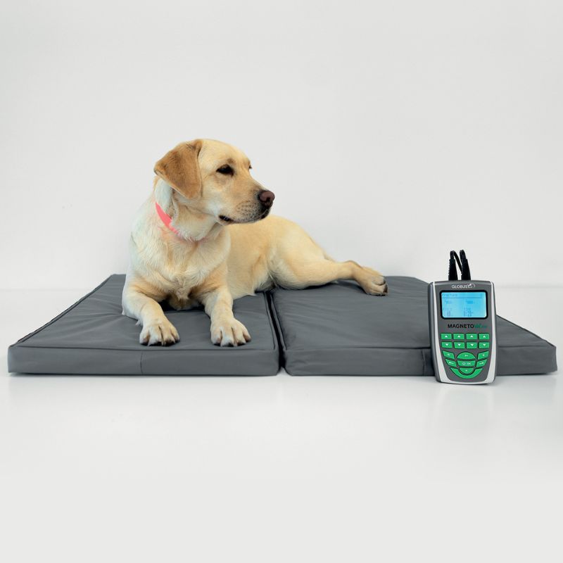 Magnetovet 200 + Colchoneta - Imagen 6